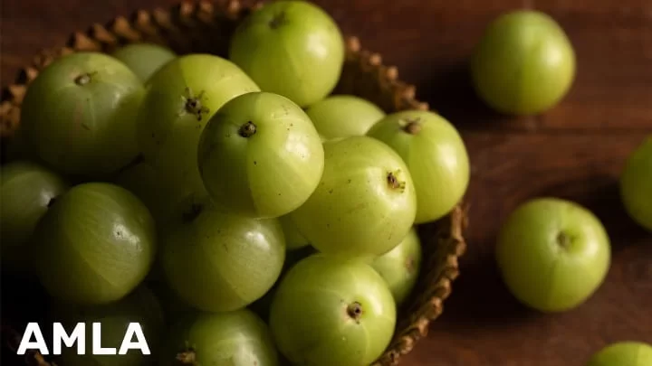 Amla