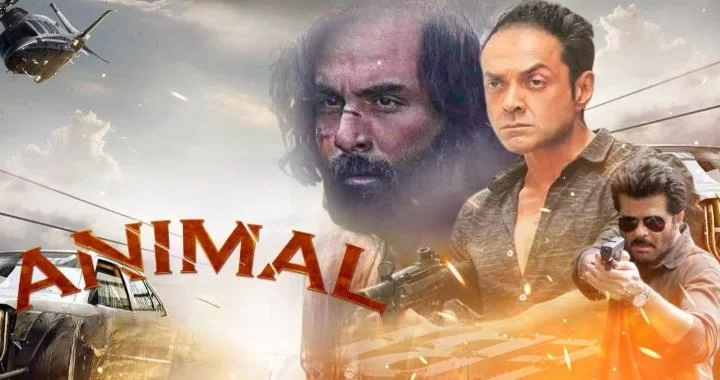 Animal Movie Bollywood 