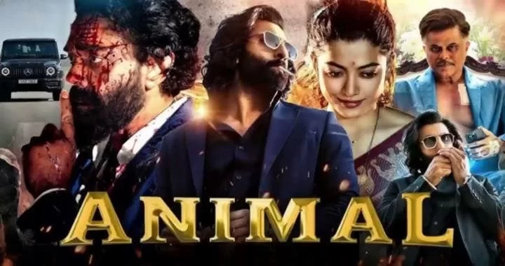 Animal Movie Bollywood 