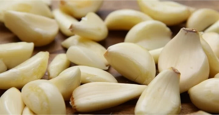 Garlic