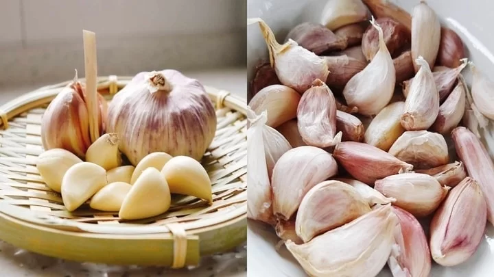 Garlic