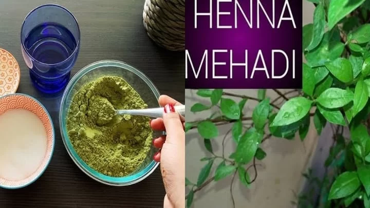 Henna (Mehndi)