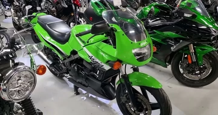 Kawasaki Ninja 500 