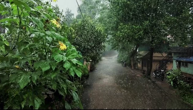 Artificial Rain
