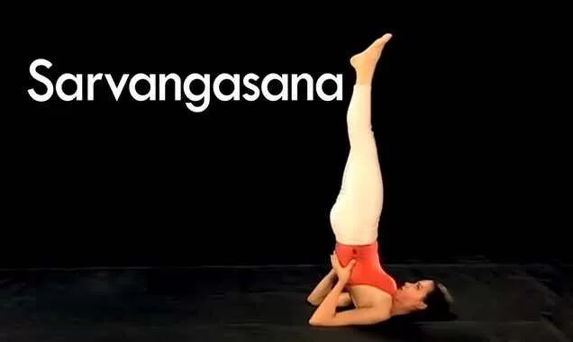 Sarvangasana