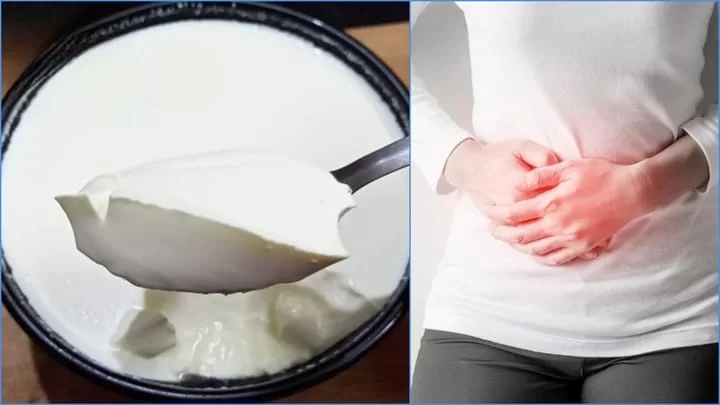 Curd Benefits