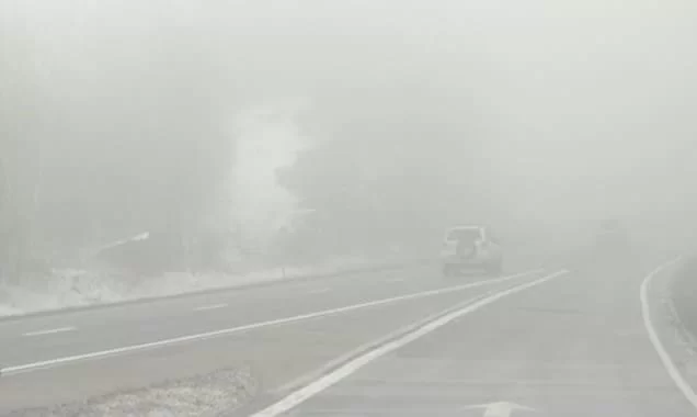 Cold Wave North India