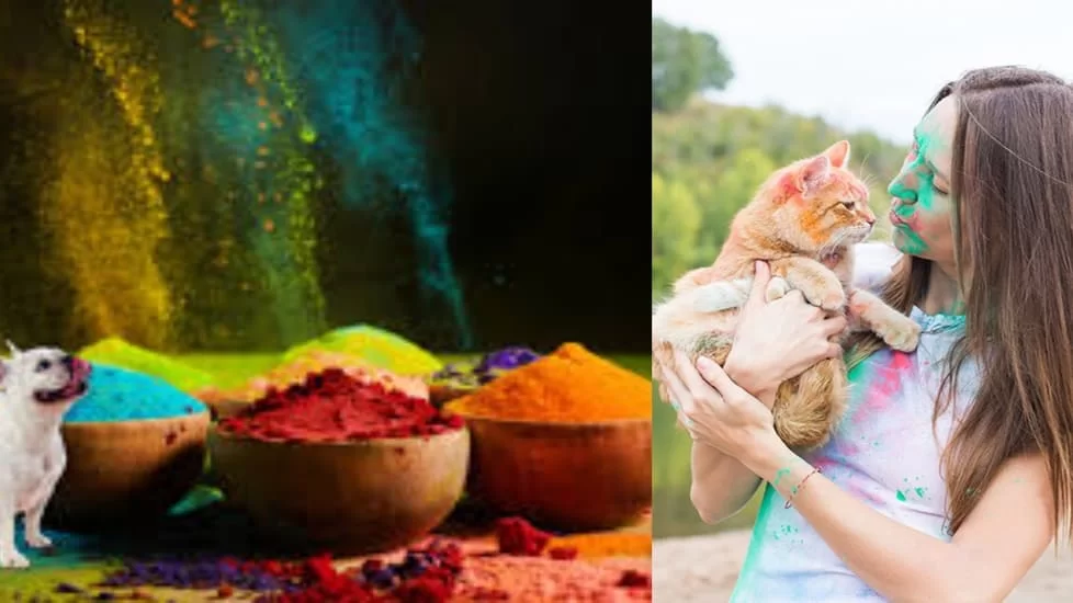 Holi Celebration