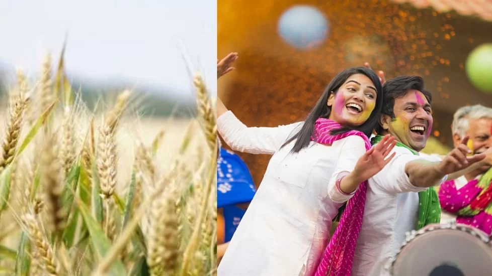 Holi Celebration