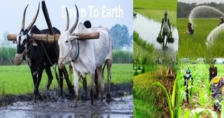 National Farmer Day India