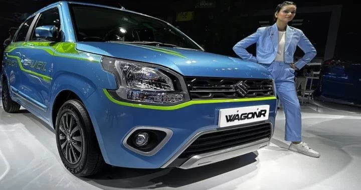 Maruti Wagon R Flex Fuel 