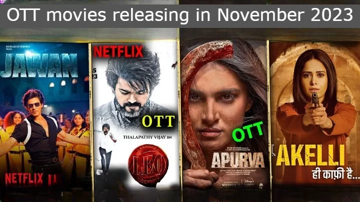 Movies and Show in Nov 2023