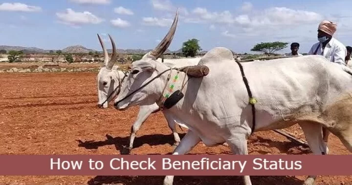 PM Kisan Beneficiary